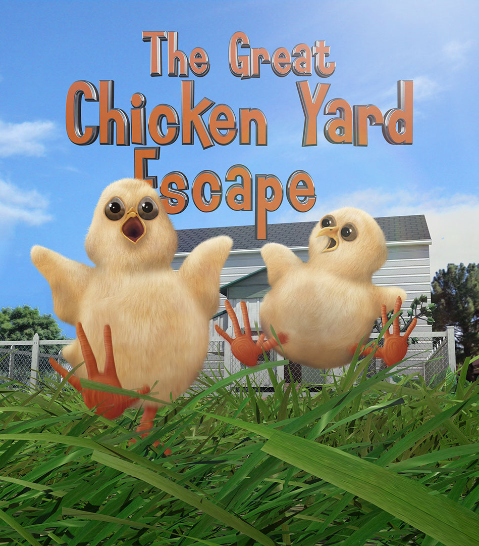 Chicken Yard